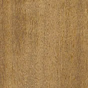 Afrormosia
