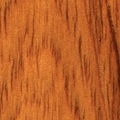 Cedar