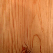 Pitch Pine