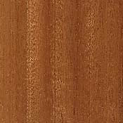 Sapelli
